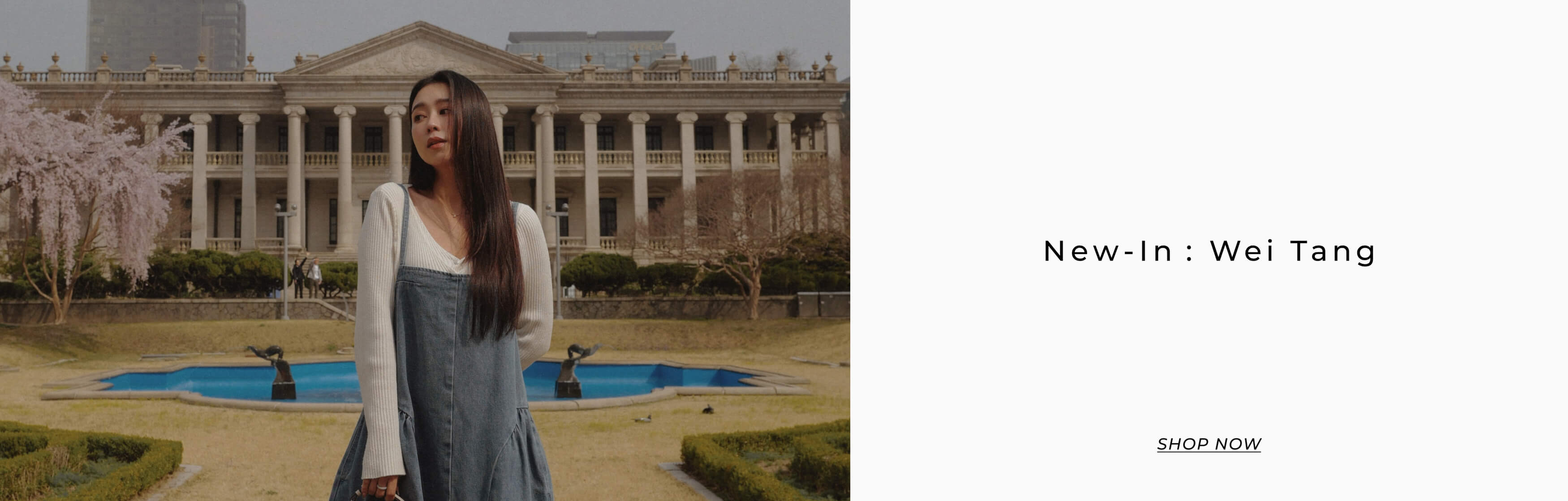 BRAND_Wei Tang