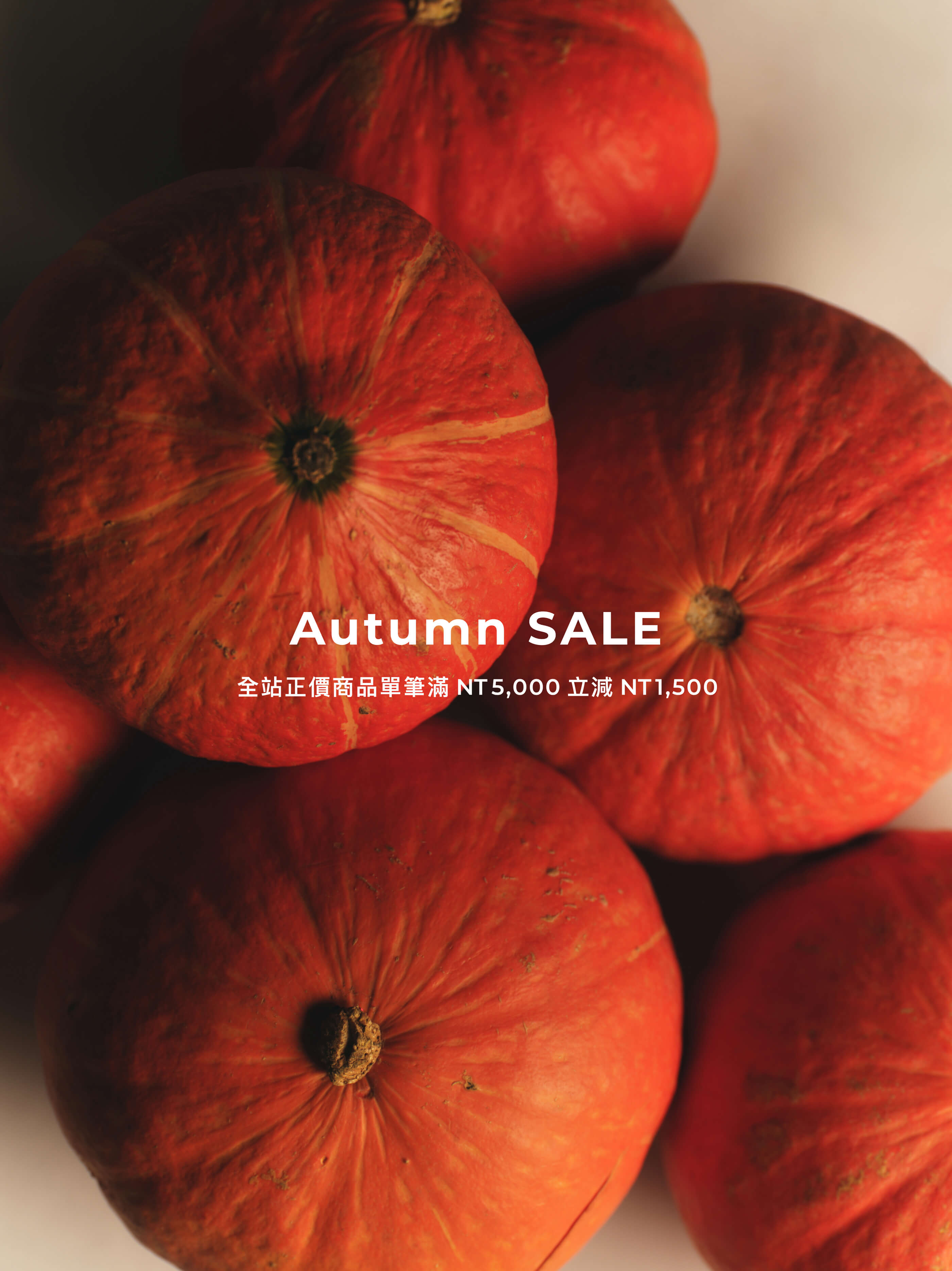 FRND Autumn SALE